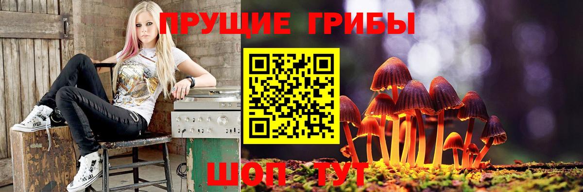 Псилоцибиновые грибы ЛСД  Ялта  Галлюциногенные грибы Magic Shrooms 